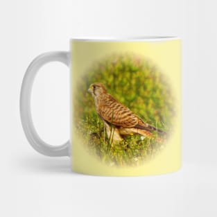 Kestrel Mug